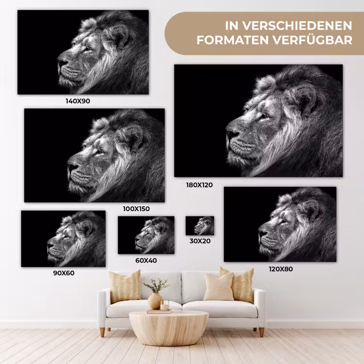 Leeuw tegen zwarte achtergrond in zwart-wit canvas 2cm klein -Xsfeer8_DE