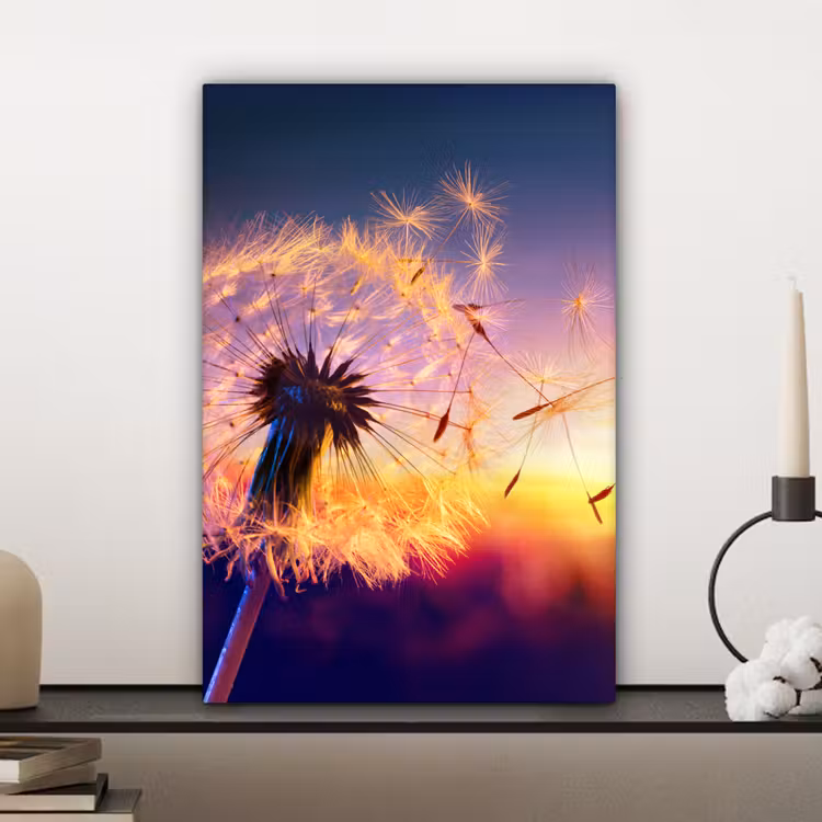 Paardenbloem - Bloemen - Zonsondergang - Horizon - Nacht canvas 2cm klein -closeup_print_DE