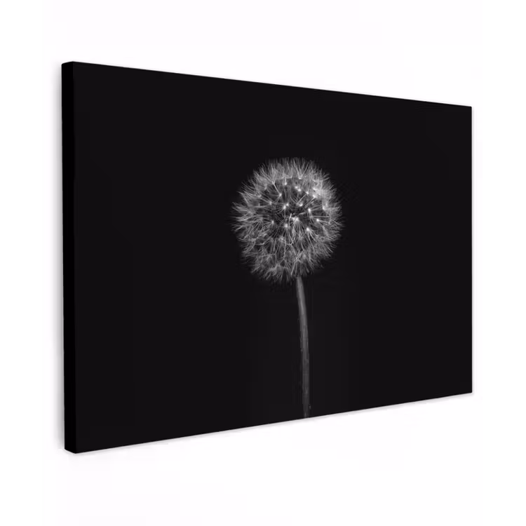 Paardenbloem - Zwart - Bloemen - Botanisch canvas 2cm klein -z3d