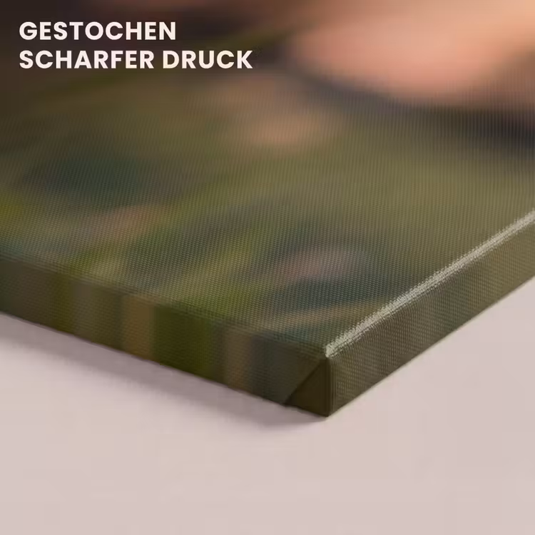 Paardenbloem - Zonsondergang - Veld canvas 2cm klein -uniquesellingpoint_afwerking-onlywow_DE