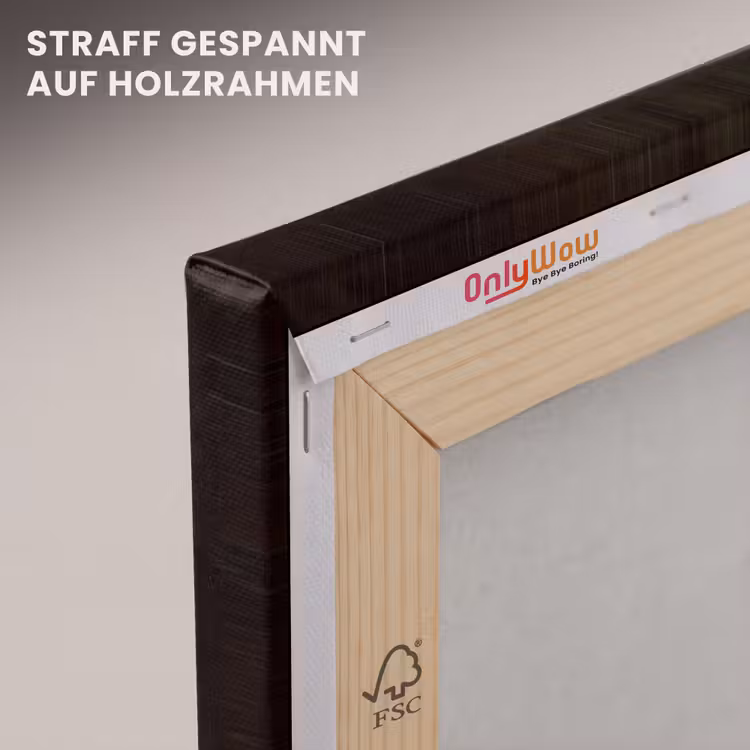 Meisje met de parel - Schilderij - Oude meesters - Vermeer canvas 2cm klein -uniquesellingpoint_afwerking-onlywow_DE