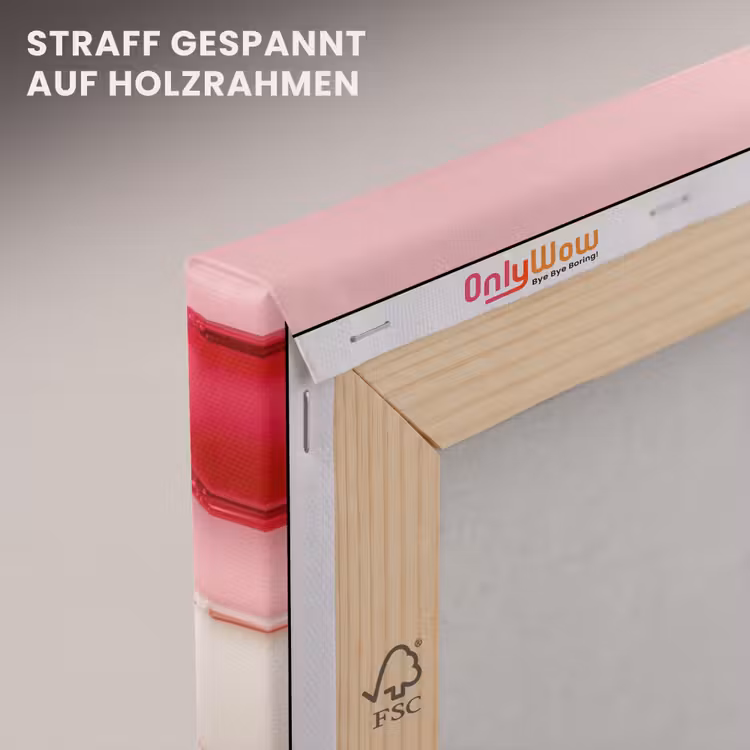 Macarons - Hartjes - Kleurrijk - Roze canvas 2cm klein -uniquesellingpoint_afwerking-onlywow_DE
