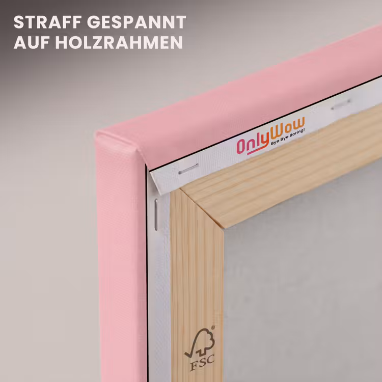Matroos - Eend - Roze canvas 2cm klein -uniquesellingpoint_afwerking-onlywow_DE