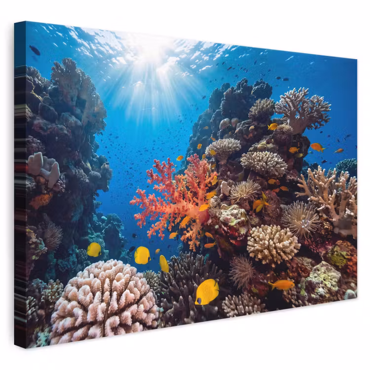 Zee - Koraalrif - Natuur - Levendig - Blauw canvas 2cm klein -3d