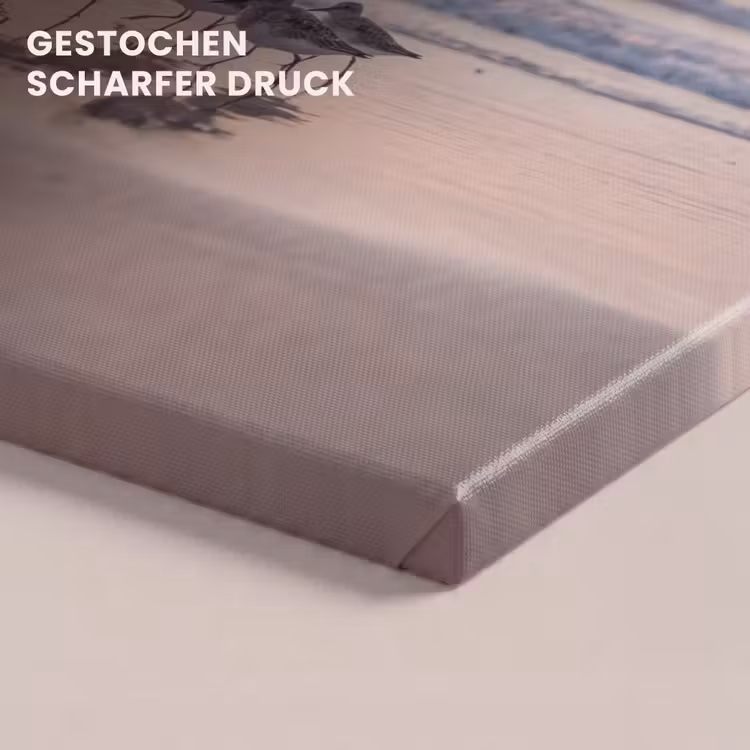 Zee - Vogels - Strand canvas 2cm klein -closeup_print_DE