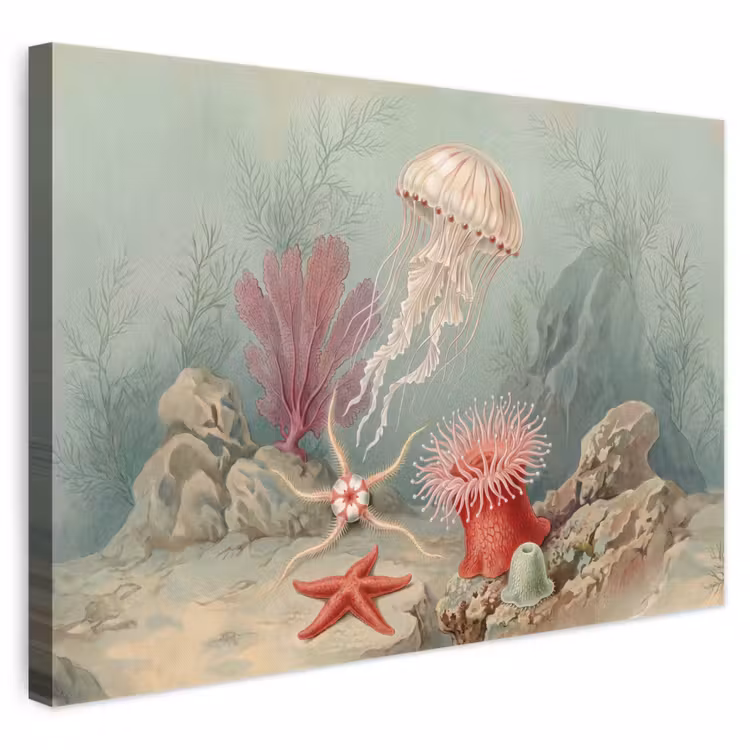 Zeeleven - Kwal - Onderwater - Illustratie - Beige canvas 2cm klein -3d