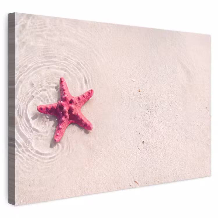 Zeeleven - Zeester - Strand - Roze - Water canvas 2cm klein -3d
