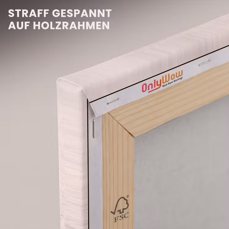Zeeleven - Zeester - Strand - Roze - Water canvas 2cm klein -uniquesellingpoint_afwerking-onlywow_DE