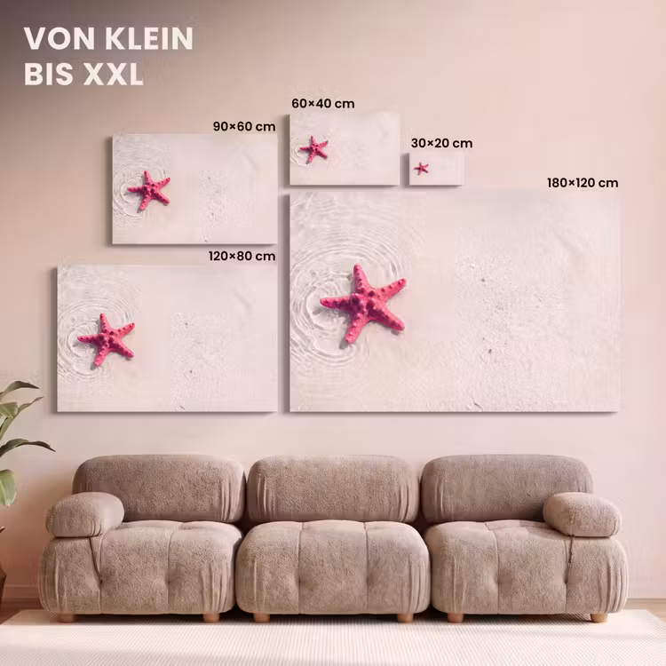 Zeeleven - Zeester - Strand - Roze - Water canvas 2cm klein -Xsfeer8_DE