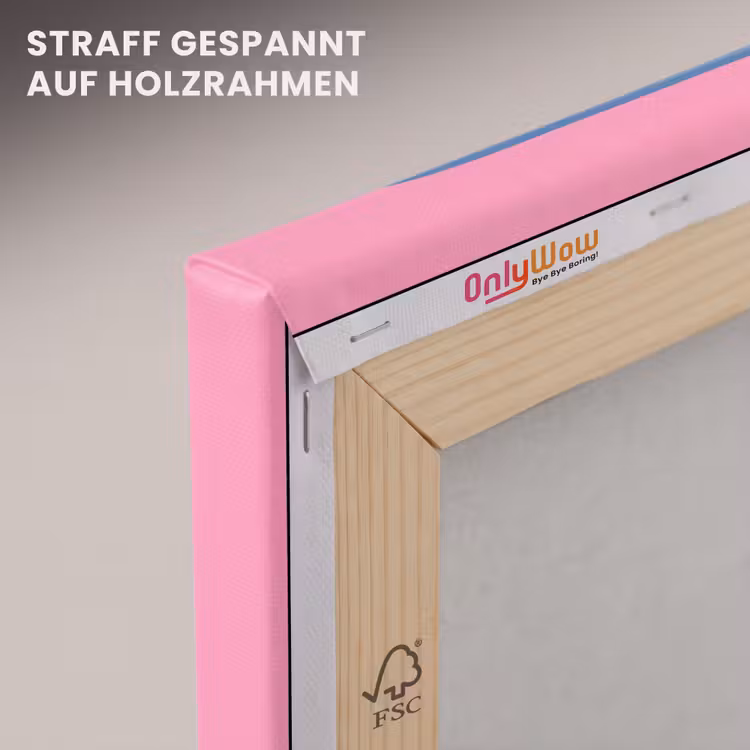 Meermin - Sardineblik - Illustratie - Roze - Retro canvas 2cm klein -uniquesellingpoint_afwerking-onlywow_DE