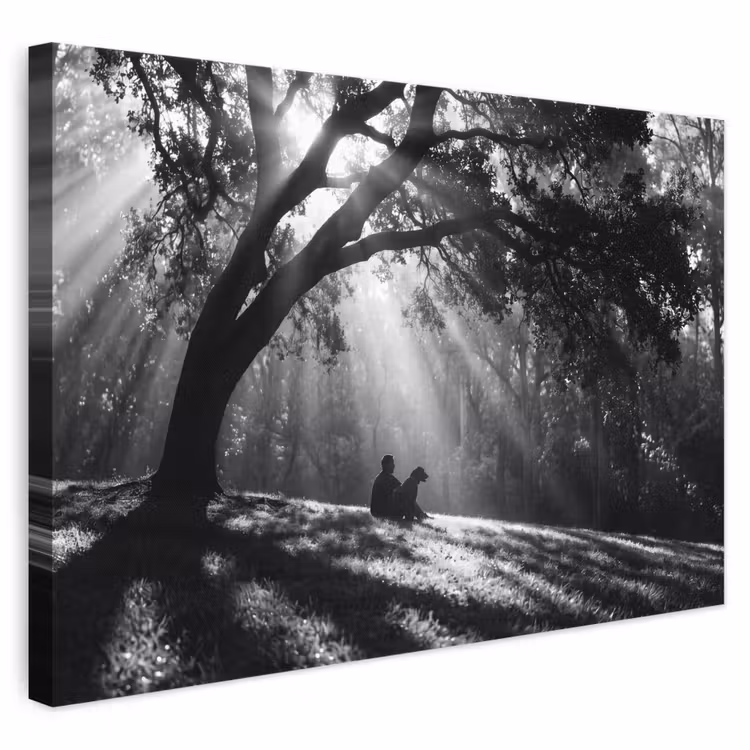 Mens - Hond - Natuur - Zwart-wit - Silhouet canvas 2cm klein -3d
