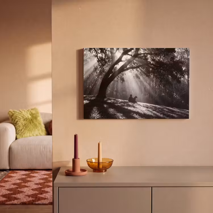 Mens - Hond - Natuur - Zwart-wit - Silhouet canvas 2cm klein -sfeer1