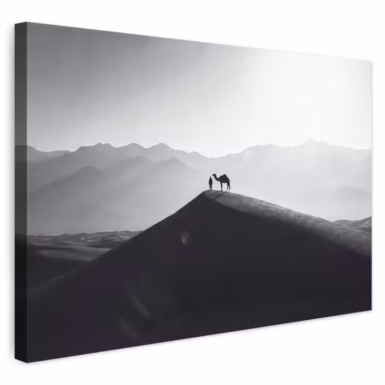 Mens - Kameel - Zandduin - Natuur - Monochroom canvas 2cm klein -3d