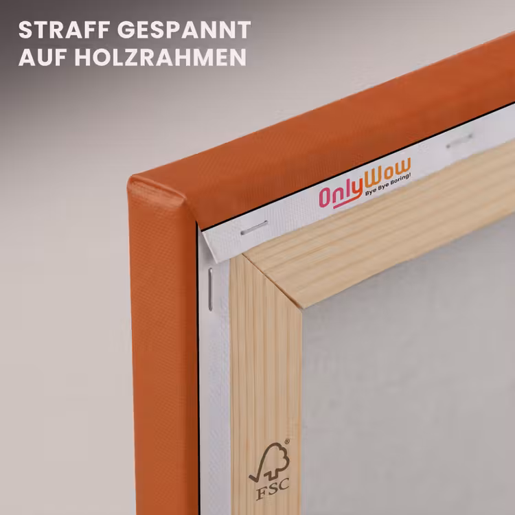 Mensen - Duo - Mode - Illustratie - Kleurrijk canvas 2cm klein -uniquesellingpoint_afwerking-onlywow_DE