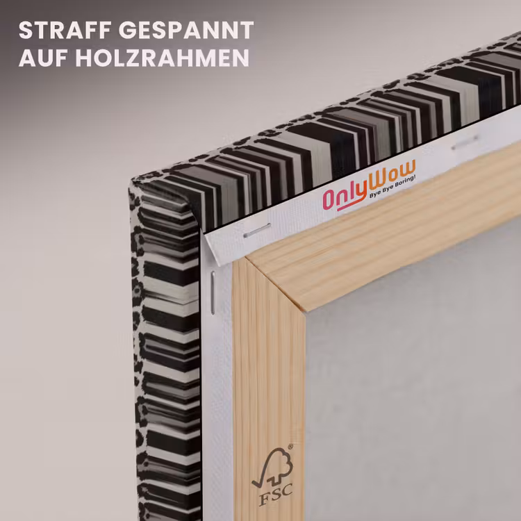 Melkmeisje - Kunst - Panterprint - Vermeer - Schilderij - Oude meesters canvas 2cm klein -uniquesellingpoint_afwerking-onlywow_DE