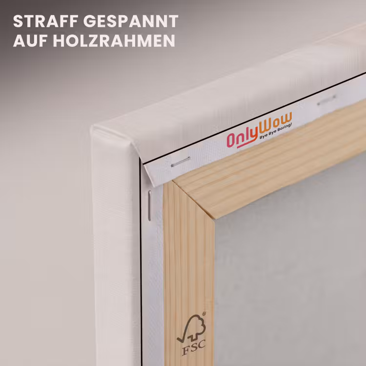 Minimalistisch - Cirkel - Lichtgrijs canvas 2cm klein -uniquesellingpoint_afwerking-onlywow_DE