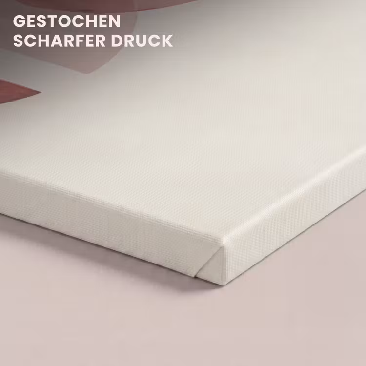 Minimalistisch - Cirkels - Roze canvas 2cm klein -uniquesellingpoint_afwerking-onlywow_DE