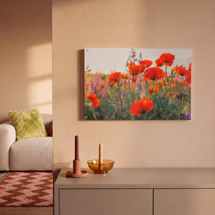 Klaproos - Bloemen - Rood - Paars - Weide canvas 2cm klein -sfeer1