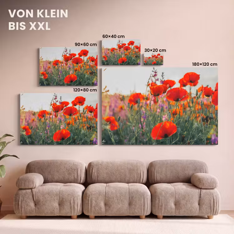 Klaproos - Bloemen - Rood - Paars - Weide canvas 2cm klein -Xsfeer8_DE