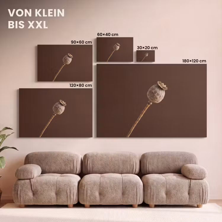 Papaverbol - Droogbloem - Bruin - Minimalistisch canvas 2cm klein -Xsfeer8_DE