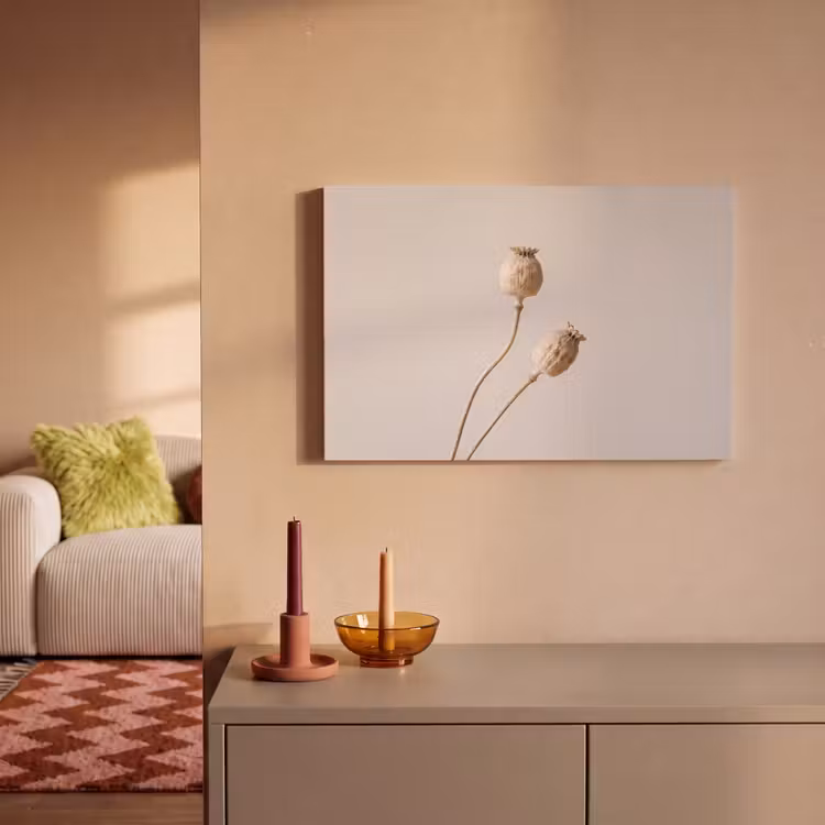 Papaverbollen - Droogbloemen - Minimalistisch - Beige - Rustig canvas 2cm klein -sfeer1
