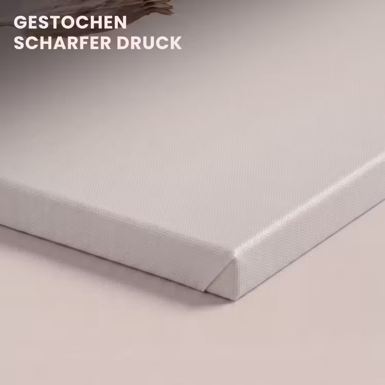 Papaverbollen - Droogbloemen - Minimalistisch - Beige - Rustig canvas 2cm klein -closeup_print_DE