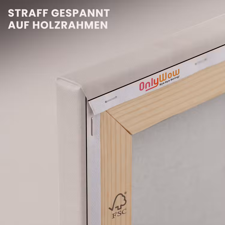 Papaverbollen - Droogbloemen - Minimalistisch - Beige - Rustig canvas 2cm klein -uniquesellingpoint_afwerking-onlywow_DE