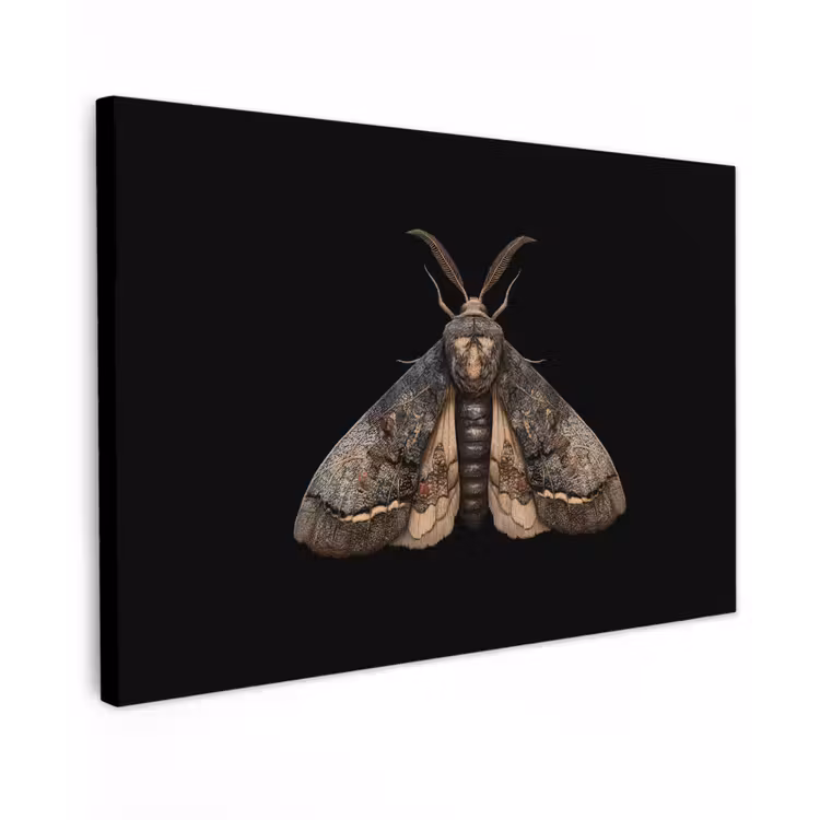Mot - Bladachtig - Grijs canvas 2cm klein -z3d