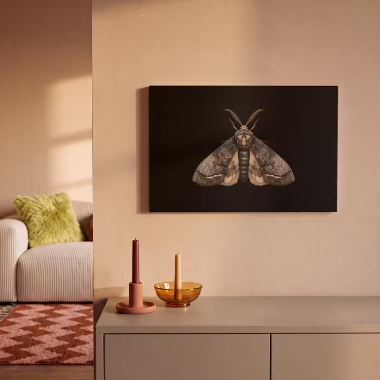 Mot - Bladachtig - Grijs canvas 2cm klein -sfeer1