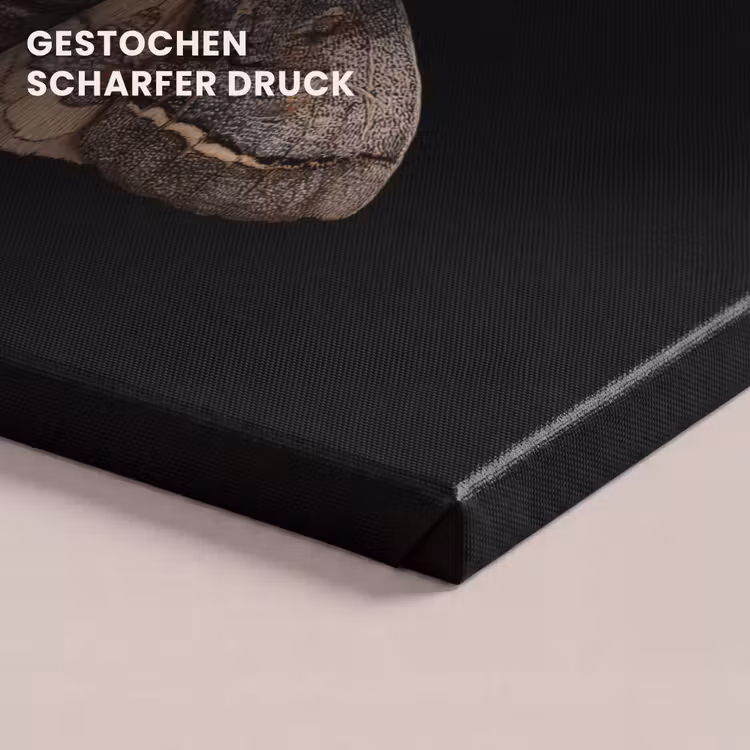 Mot - Bladachtig - Grijs canvas 2cm klein -closeup_print_DE