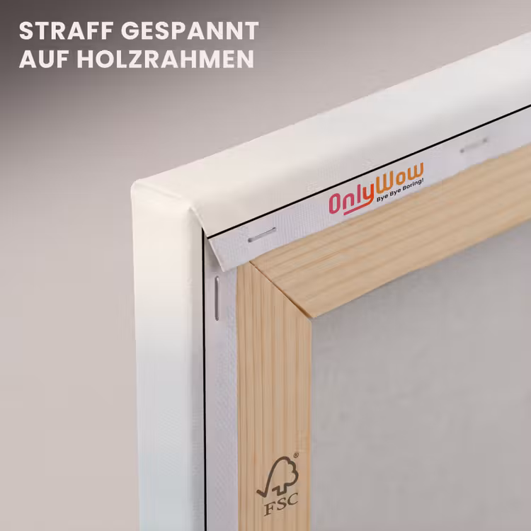 Meeuw - Wit - Zee - Mistig canvas 2cm klein -uniquesellingpoint_afwerking-onlywow_DE