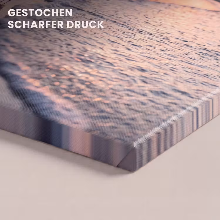 Meeuwen - Strand - Zee - Roze canvas 2cm klein -uniquesellingpoint_afwerking-onlywow_DE