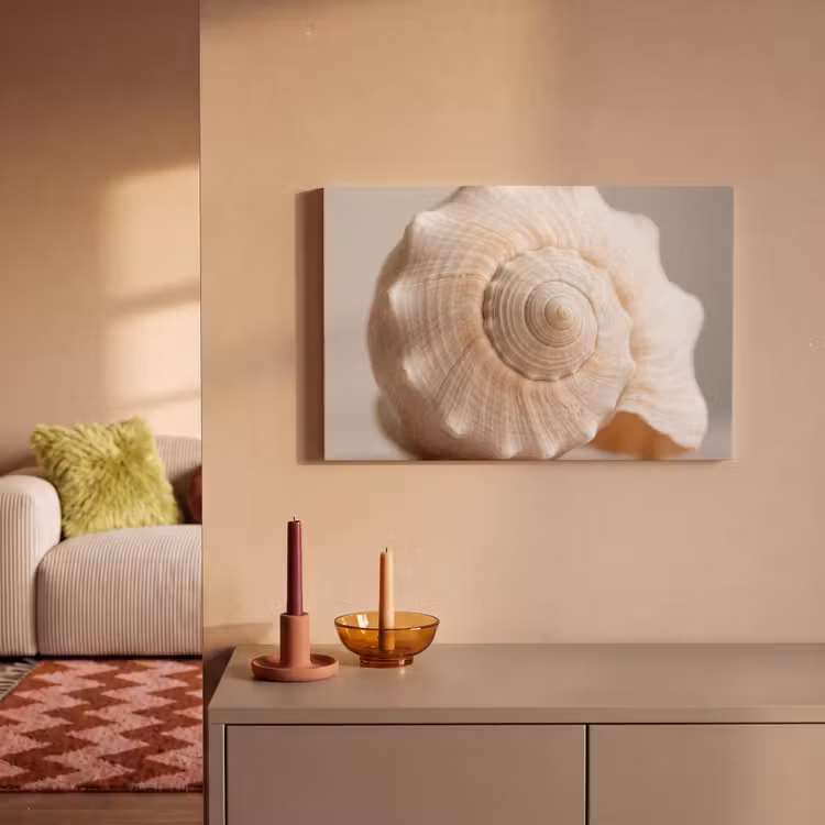 Schelp - Detail - Beige canvas 2cm klein -sfeer1