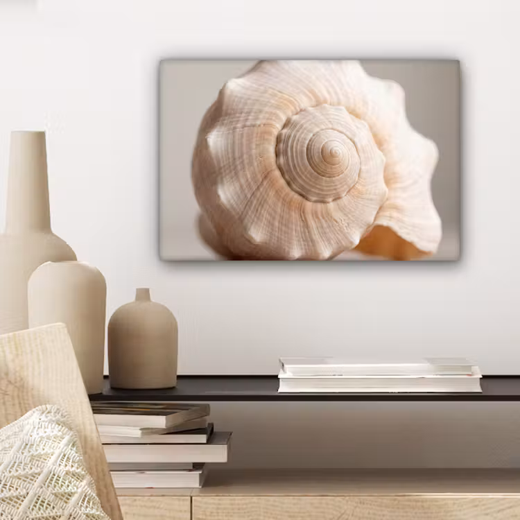 Schelp - Detail - Beige canvas 2cm klein -sfeer6