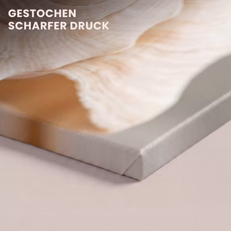 Schelp - Detail - Beige canvas 2cm klein -closeup_print_DE