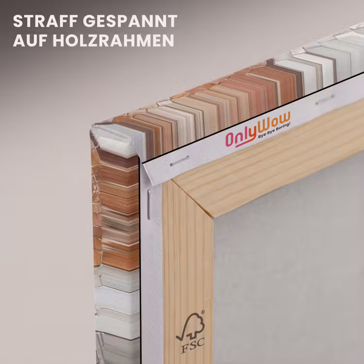 Schelp - Mozaïek - Zee - Beige - Modern canvas 2cm klein -uniquesellingpoint_afwerking-onlywow_DE