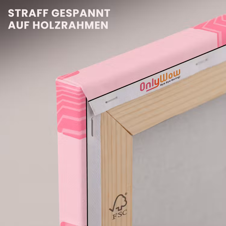 Schelp - Patroon - Zee - Modern - Roze canvas 2cm klein -uniquesellingpoint_afwerking-onlywow_DE