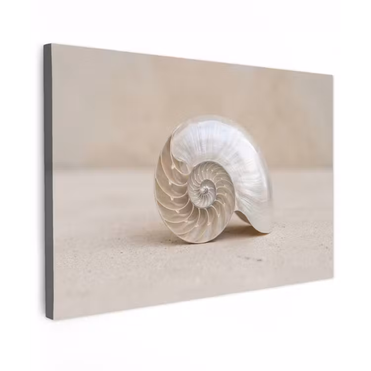 Schelp - Spiraal - Beige canvas 2cm klein -z3d