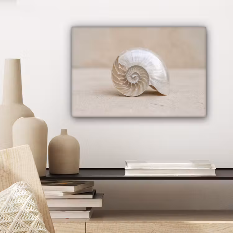 Schelp - Spiraal - Beige canvas 2cm klein -sfeer6