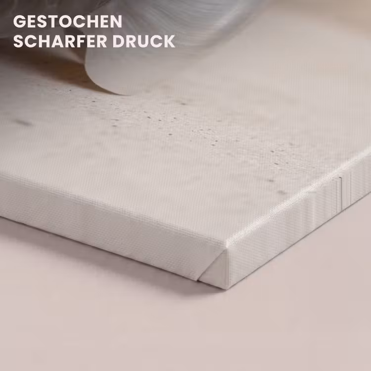 Schelp - Spiraal - Beige canvas 2cm klein -closeup_print_DE