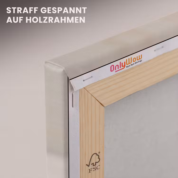 Schelp - Spiraal - Beige canvas 2cm klein -uniquesellingpoint_afwerking-onlywow_DE