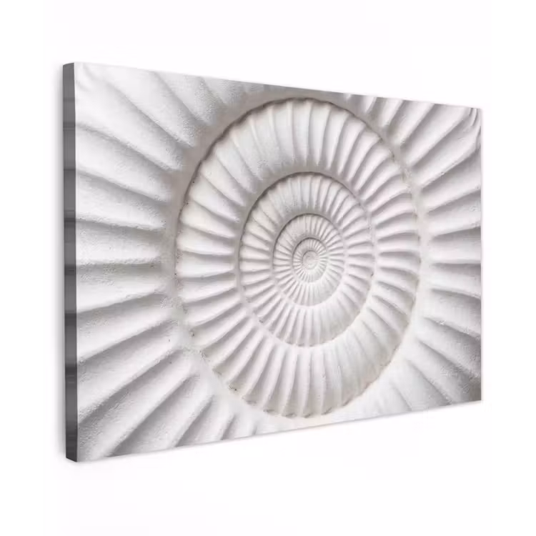 Schelp - Spiraal - Wit canvas 2cm klein -z3d