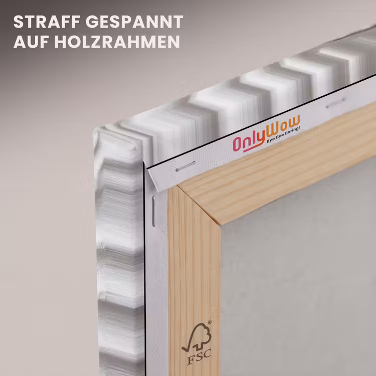 Schelp - Spiraal - Wit canvas 2cm klein -uniquesellingpoint_afwerking-onlywow_DE