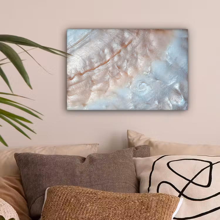 Schelpen - Abstract - Natuur canvas 2cm klein -sfeer1