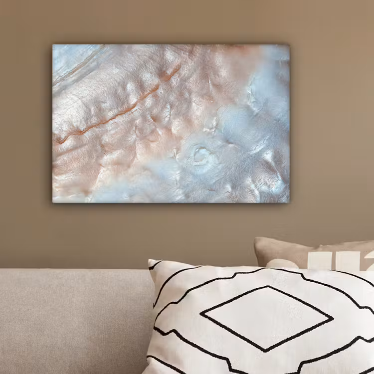 Schelpen - Abstract - Natuur canvas 2cm klein -sfeer6
