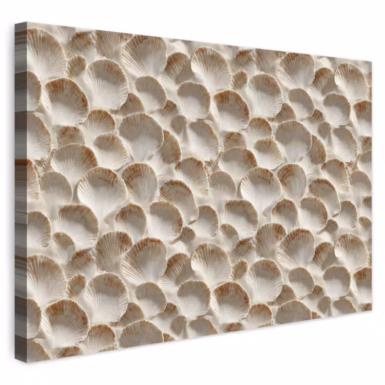 Schelpen - Waaiervorm - Wit canvas 2cm klein 34 -3d