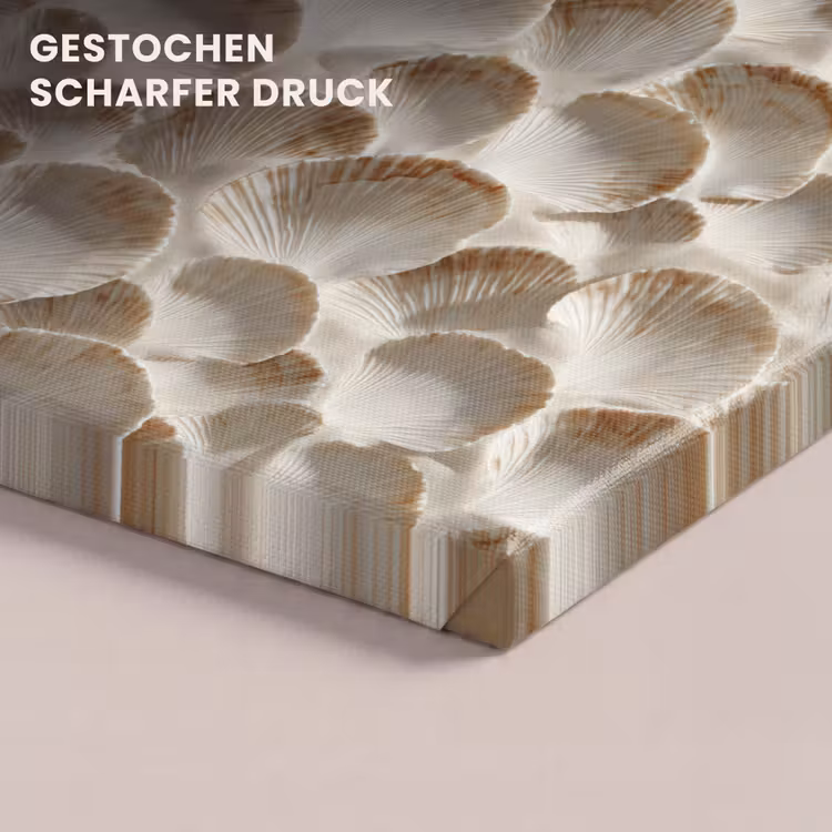 Schelpen - Waaiervorm - Wit canvas 2cm klein 34 -closeup_print_DE