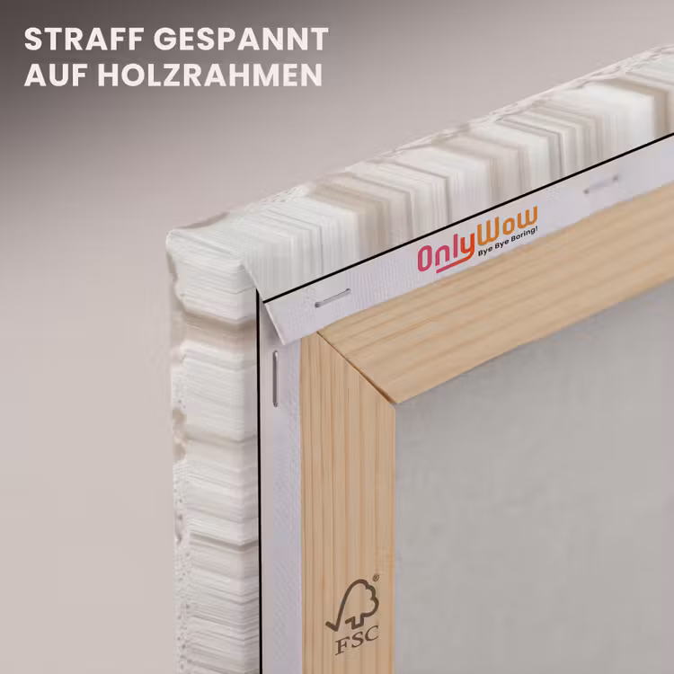 Schelpen - Zeesterren - Strand canvas 2cm klein -uniquesellingpoint_afwerking-onlywow_DE