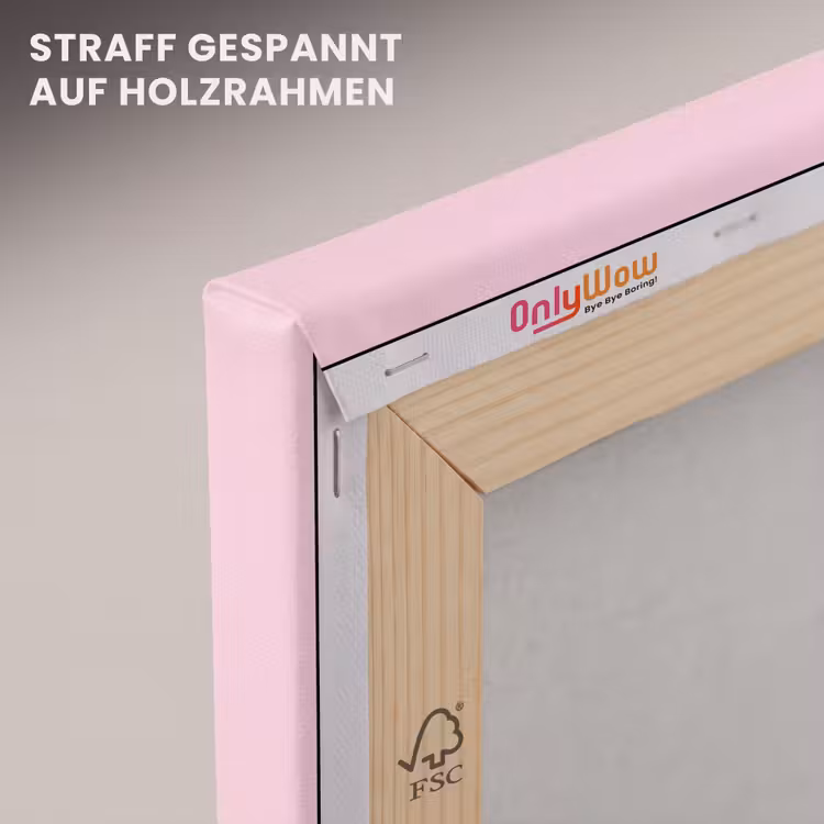 Patroon - Cirkels - Abstract - Roze - Modern canvas 2cm klein -uniquesellingpoint_afwerking-onlywow_DE