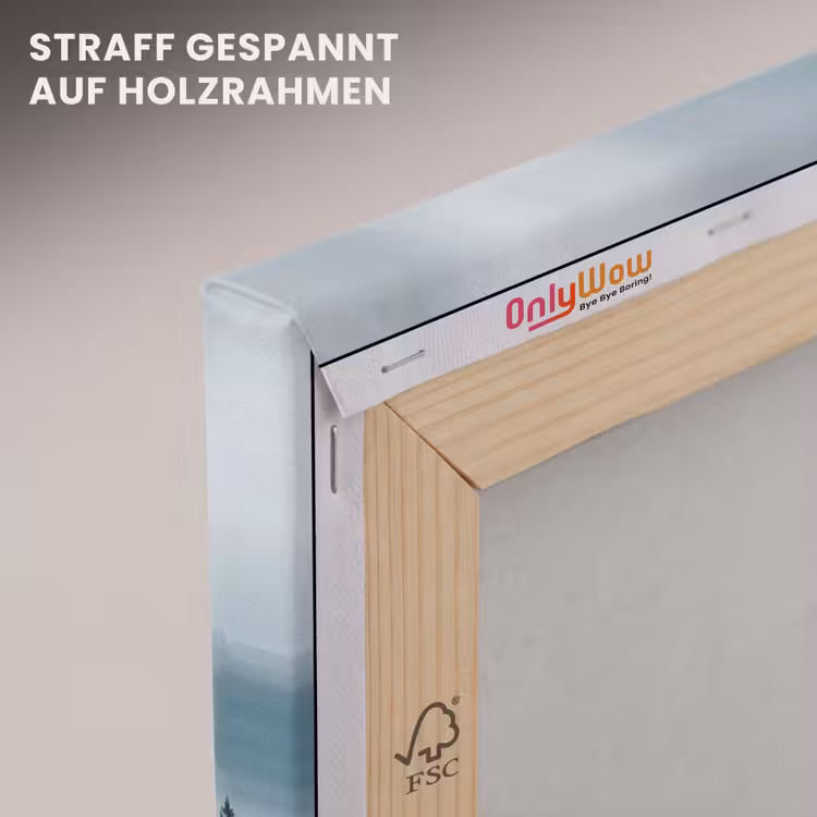 Naaldwoud - Bergen - Nebel canvas 2cm klein -uniquesellingpoint_afwerking-onlywow_DE